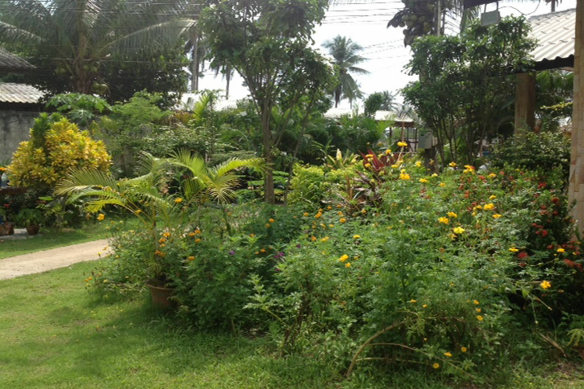 Sanook Sanang Resort Koh Chang Exteriör bild